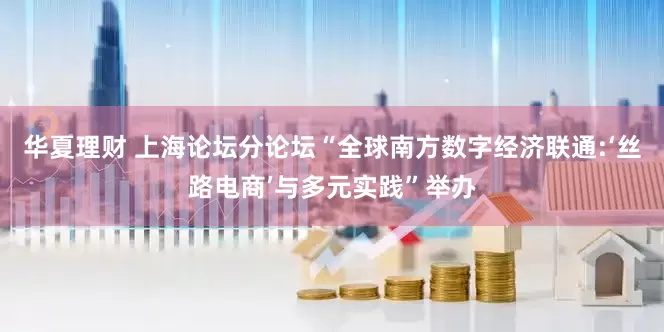 华夏理财 上海论坛分论坛“全球南方数字经济联通:‘丝路电商’与多元实践”举办